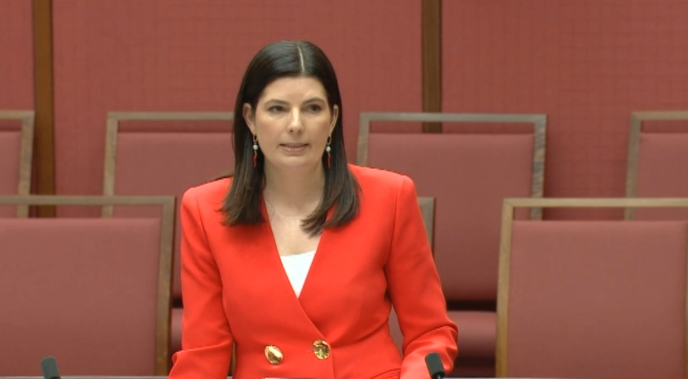 Bills - Paid Parental Leave Amendment (Adding Superannuation for a More Secure Retirement) Bill 2024 - Second Reading Main Image