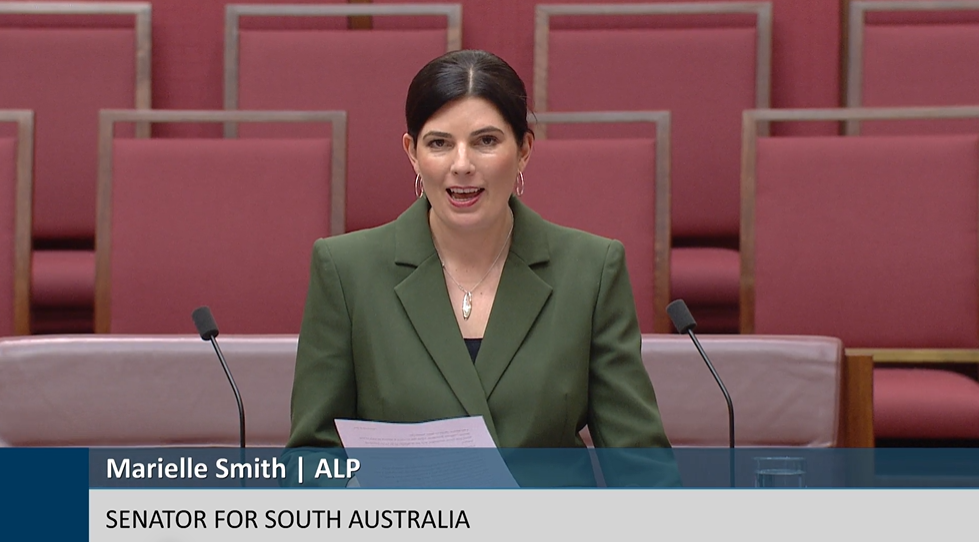 Youth Voice in Parliament  Main Image