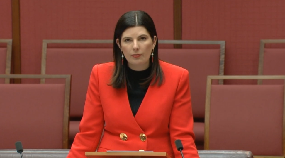Statements by Senators - Cybersecurity Main Image