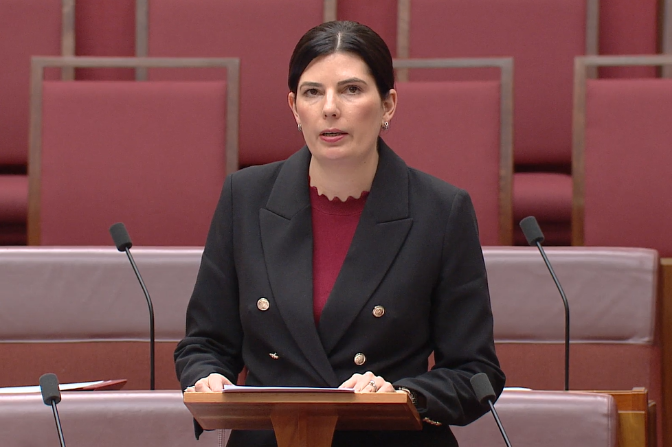 Fair Work Amendment (Baby Priya's) Bill 2025  Main Image