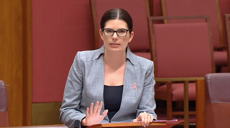 Ensuring Integrity Bill 2019 - Second Reading Main Image