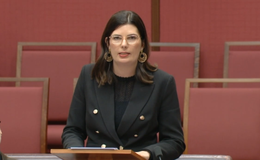 Statements by Senators - Employment  Main Image